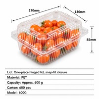 Conteneur rectangulaire articulé en PET transparent et respirant de 600 g pour fruits frais, vente en gros