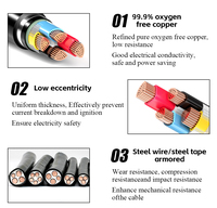 Cable de alimentación con conductor de núcleo de cobre Cable eléctrico aislado Xple blindado de bajo voltaje Resistente al fuego