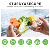 Tamper evident recyclebare transparante PET clamshell voedselverpakking met scharnierend deksel voor groenten, fruit, gedroogd fruit, wegwerpbaar, food grade