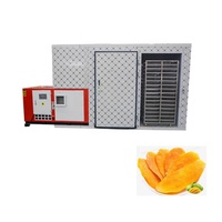 CE-gecertificeerde 3000 kg per batch gedroogde citroen warmtepomp voedseldroger dehydrator gedroogde mango fruit groente droogmachine