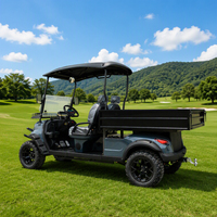 Voiturette de golf électrique LEIBIN, buggy tout-terrain, boîte de chargement, 4 roues motrices, batterie lithium 72V, 3,5-7,5KW, 2 places, freins à disque avant, 30-50Km/h, 90km, acier