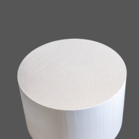 240*152.4 fornitura di fabbrica Diesel filtro antiparticolato Cordierite a nido d'ape ceramica DPF