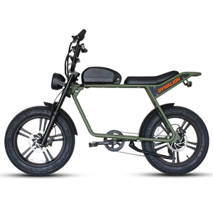 핫 세일 헬기 전기 자전거 성인 Ebike 복고풍 지방 타이어 산 Ebike 복고풍 지방 타이어 도시 도로 ebike - Product Image 5