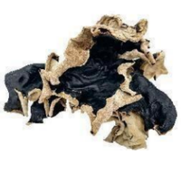 Vente en gros à prix compétitif de Champignons noirs séchés (Fungus Wood Ear) de troisième et quatrième récolte, grande taille