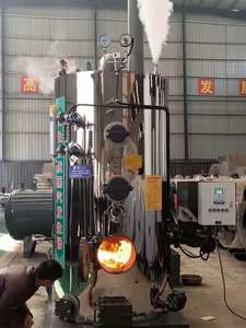 100GK-2000kg dọc SINH KHỐI mùn cưa hạt tự động sưởi ấm hơi nước nồi hơi Máy phát điện hơi nước - Product Image 5