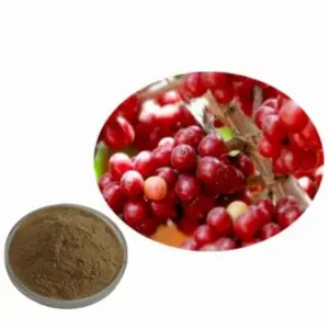 GMP Hot Sale Guarana Seed P.E. Factory supply Guarana Seed Extract Powder of high quality