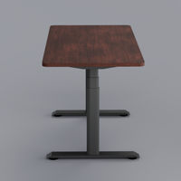 Station de production musicale PRORIALS pour la maison, bureau ergonomique moderne à double moteur, réglable en hauteur, en métal, pour le bureau à domicile