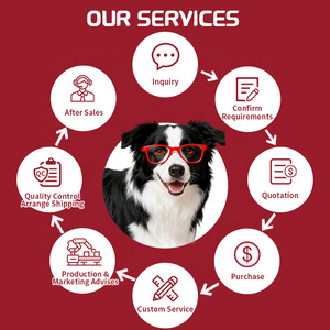 Oem odm חיות מחמד ירך ותמיכה משותפת טיפות כלבים כלבים חתולים טיפול בריאות נוזל מותאם אישית ויטמינים - Product Image 3