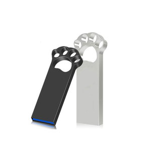 Memoria USB Metálica con Diseño de Pata de Gato, 1GB 2GB 4GB 8GB 2.0 Mini, 16GB 32GB 64GB 3.0, con Grabado Láser Gratuito - Product Image 6