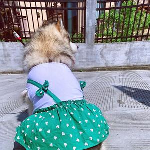 Robe à bretelles à taille haute pour <span class=keywords><strong>chien</strong></span> et chat, motif floral mignon, pour Teddy, Bichon, <span class=keywords><strong>Alaskan</strong></span> <span class=keywords><strong>Malamute</strong></span>, Golden Retriever, Samoyed, printemps/été - Product Image 6