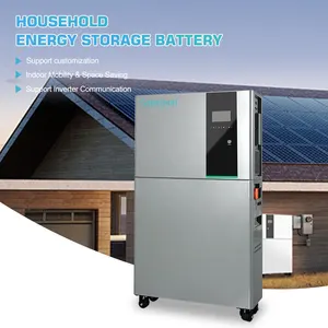 Sistema de gestión de batería de litio solar para el hogar industrial Sistema de red híbrida de almacenamiento de energía 10kwh
