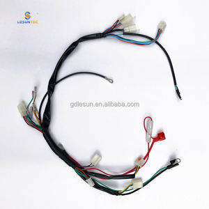 LESUN ชุดประกอบสายไฟรถจักรยานยนต์ไฟฟ้าแบบกำหนดเอง - Product Image 2