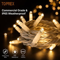 Guirlandes lumineuses LED TOPREX de qualité commerciale, étanches, pour Noël, fêtes en plein air, mariages, fournisseur de projets