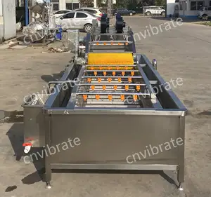 VBJX Commercial Automatic Apple Olive Fruit And Vegetable Cleaning Washing Machine And Peeler Line With Ozone