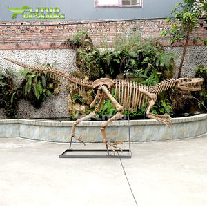 <span class=keywords><strong>Esqueleto</strong></span> <span class=keywords><strong>de</strong></span> <span class=keywords><strong>Velociraptor</strong></span> a Tamaño Real con Calidad <span class=keywords><strong>de</strong></span> Museo, Fósil <span class=keywords><strong>de</strong></span> Resina para Interiores, Centros Comerciales, Aeropuertos, Guarderías y Jardines <span class=keywords><strong>de</strong></span> Infancia - Product Image 3