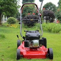 Tondeuse à gazon autotractée/à pousser à la main à essence 4 temps économique avec moteur 173cc et puissance de 1200W pour la coupe de l'herbe DIY