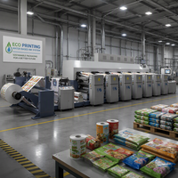 Máquina de Impresión Flexográfica para Imprimir en Rollo Papel Recubierto de PE, Papel para Vasos y Bolsas de Compra de Papel Kraft, Papel Crudo, Fábrica de Empaques Moderna