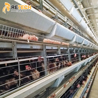 Équipement de cage à poulets automatisée pour ferme avicole de 30 000 poulets avec installation au Kenya