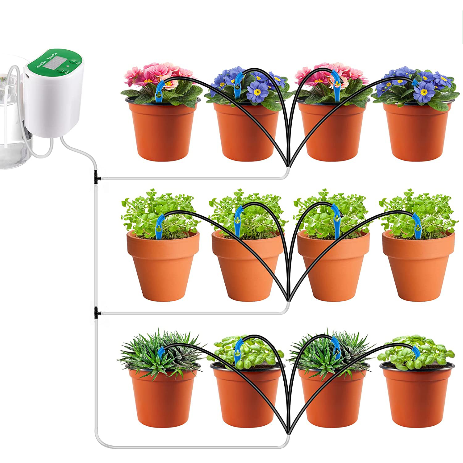Green  12 potted flowers