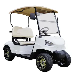 Obral mobil Buggy elektrik dekat saya Golf Carts harga murah