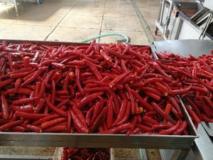 <span class=keywords><strong>Piment</strong></span> rouge congelé IQF Certifié BRC & Halal Ingrédients de <span class=keywords><strong>piment</strong></span> rouge fraîchement hachés et coupés en cubes - Product Image 4