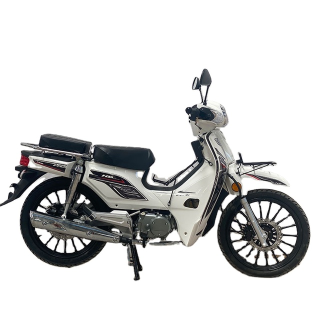 OEM 110cc 120cc Cub Motorcycle 4 Stroke Gasoline Engine Motorcycle