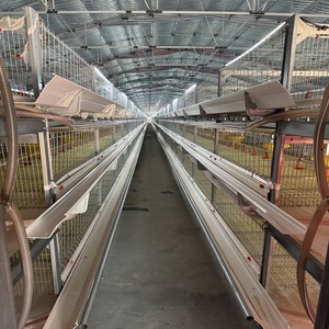 Équipement de cage à <span class=keywords><strong>poules</strong></span> <span class=keywords><strong>pondeuses</strong></span> de type H de haute qualité avec acier galvanisé à chaud, <span class=keywords><strong>abri</strong></span> et enclos multifonctionnels - Product Image 3