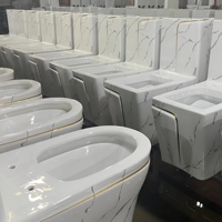 Prix de gros WC monobloc en céramique doré, à chasse directe, avec sangle de fixation carrée, personnalisable en usine