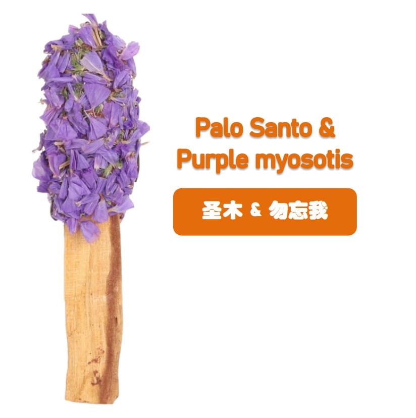 Palo Santo Myosotis violet