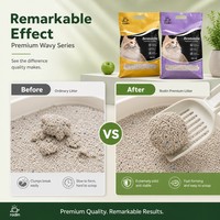 Litière pour chat en bentonite à forte absorption des odeurs, échantillons gratuits, parfum lavande, sans poussière, argile minérale de sodium, sable pour animaux, fournitures pour animaux de compagnie