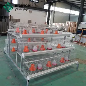 A Type Day Old Chicks Cage For Layer Chicks And Broiler Chicks For Africa Poultry Farm