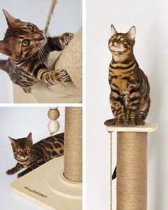 <span class=keywords><strong>Tiragraffi</strong></span> per gatti, dotato di una spessa Base in legno massiccio Super grande, resistente e stabile torre di graffi per gatti - Product Image 1