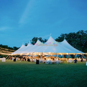 Carpa de fiesta de alta resistencia para exteriores 20x20 40x20, carpa grande, carpa blanca para eventos de boda, carpas con dosel para eventos de boda - Product Image 5
