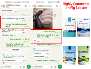 Additivi per Mangimi Suini Antistress e Stimolanti della Lattazione, Stimolano la Secrezione del Latte e Migliorano l'Uniformità della Parto - Product Image 5