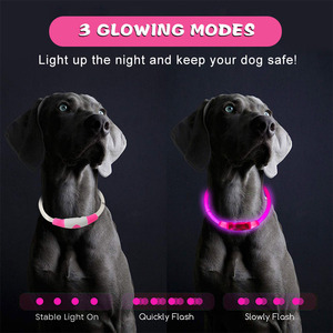 Özel TPU Malzemeli Su Geçirmez USB Şarjlı Düz Desenli LED Işıklı Gece Güvenliği İçin Köpek Tasması - Product Image 2