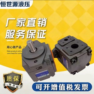 Pompe à palettes hydraulique Yongling Pv2r1 19/31 Raf1 électrique rotative en fonte - Product Image 5