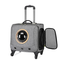 Boîte de transport pour animaux de compagnie, grande, pour chats et chiens, sortie, voyage, capsule spatiale, sac de voyage portable pour chats et chiens