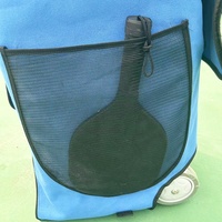 Machine à balles de tennis et de padel, petite machine de lancer, machine d'entraînement de pickleball, accessoires spéciaux, sac à balles