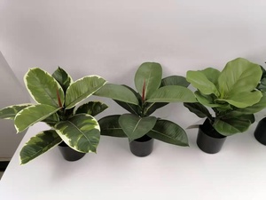Hex artificiel <span class=keywords><strong>en</strong></span> plastique de petite taille, 1 pièce, plante verte, bonsaï, monstera, Fatsia japonaise, arbres <span class=keywords><strong>en</strong></span> <span class=keywords><strong>pot</strong></span> - Product Image 2