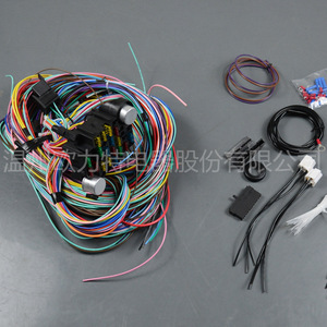 Arnés de cableado automotriz Eulit, caja de fusibles de 21 vías, 12V, aislado con PVC para sistema eléctrico de automóvil - Product Image 2