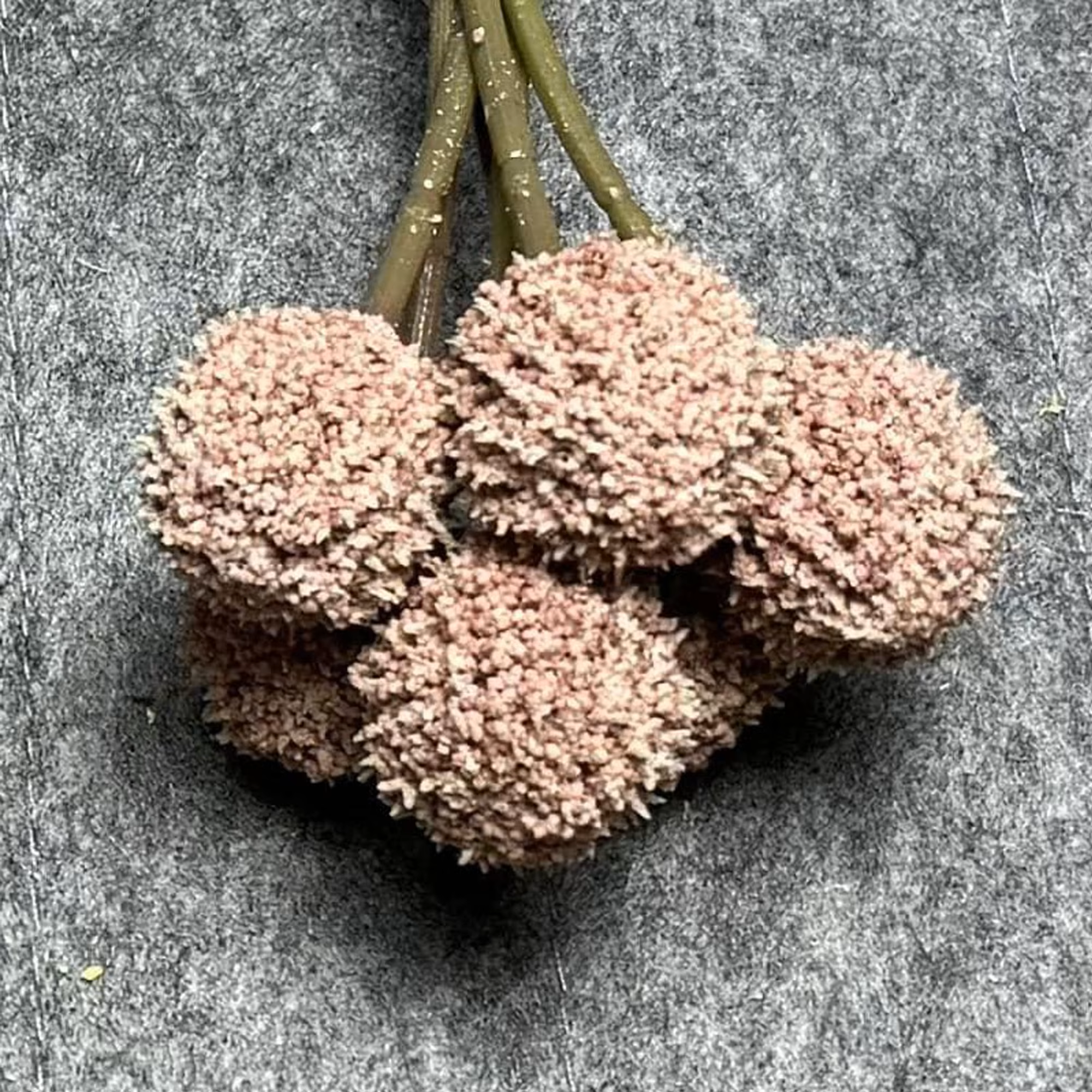 7 Stems 7 Heads 62cm DustyPink