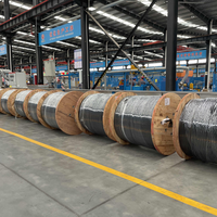 0,6/1kV 3x95 50 mm2 3x150 70 mm2 3x240 120 mm2 3x120 70 mm2 Al/XLPE/PVC Na2xy Aluminium leiter Stromkabel