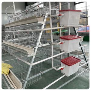 2025 venda quente equipamentos agrícolas AType gaiola animal para galinhas camada Hot Dip Galvanização <span class=keywords><strong>Material</strong></span> - Product Image 5