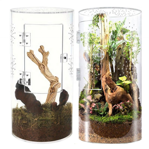 Cylindrical Clear Acrylic Pet Habitat with Ventilated Mesh Top &amp; Secure Locking Lid, Transparent <strong>Reptile</strong> <strong>Terrarium</strong> - Product Image 2