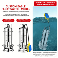 Pompe submersible de découpe des eaux usées en acier inoxydable 304, 220V, haute pression, résistante à la corrosion, pour usage domestique