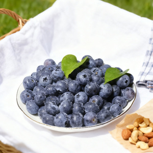 Bayas Congeladas IQF Chinas al por Mayor, Arándanos Congelados IQF para Exportación a Buen Precio - Product Image 6