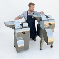 Industriële voedselveilige multifunctionele wortelgroentesnijmachine, elektrische aardappel-wortelsnijder en -snijmachine voor fruit en groenten