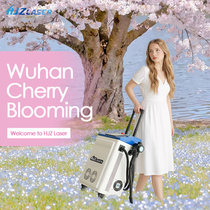 Dernière génération de machine de nettoyage au laser pulsé refroidie par air 300W 500W pour l'élimination de la rouille, des graffitis et de la peinture sur l'acier inoxydable, l'aluminium et le bois - Product Image 1