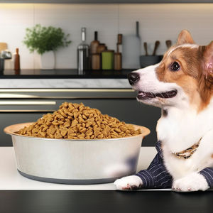 EUR <strong>PET</strong> Custom <strong>Luxury</strong> Stainless Steel Elevated <strong>Dogs</strong> Food <strong>Bowl</strong> Copper Slow Feeder <strong>Dog</strong> Water <strong>Bowl</strong> Stand Cute Raised - Product Image 5