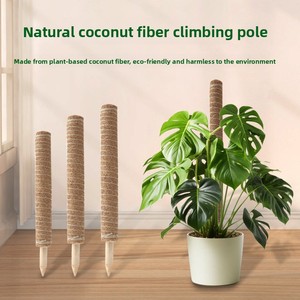 <span class=keywords><strong>Support</strong></span> de <span class=keywords><strong>plante</strong></span> <span class=keywords><strong>grimpante</strong></span> Monstera écologique pour balcon et terrasse, <span class=keywords><strong>support</strong></span> de <span class=keywords><strong>plante</strong></span> <span class=keywords><strong>en</strong></span> <span class=keywords><strong>pot</strong></span> naturel - Product Image 2
